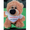 Special Occasion Teddy