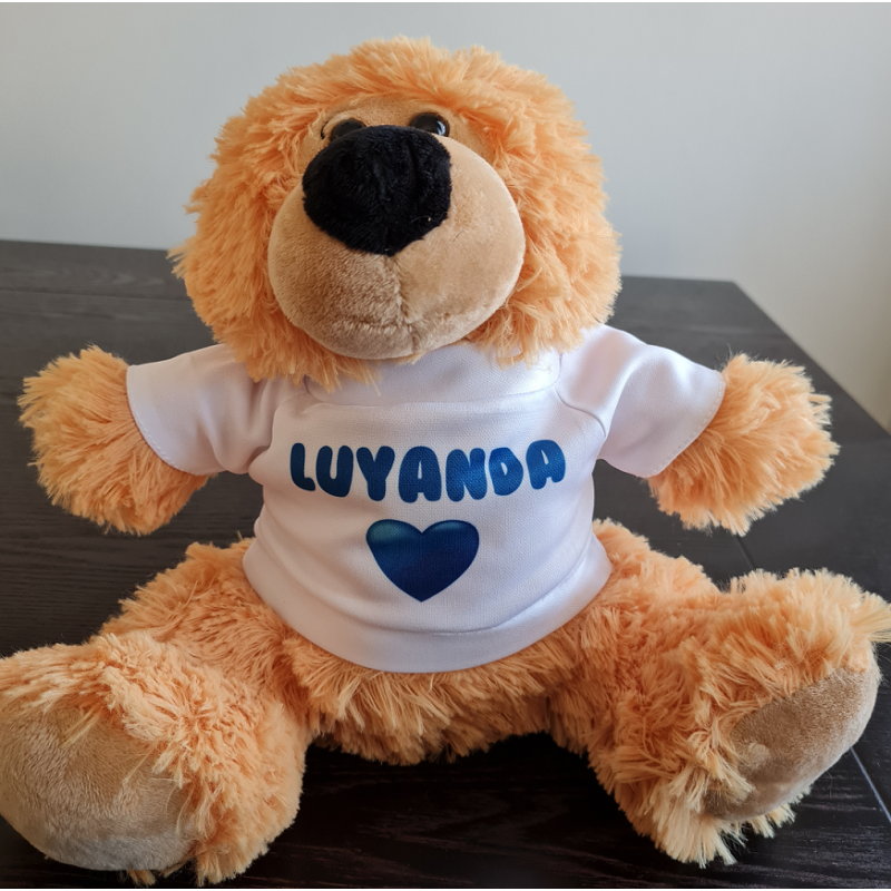 Special Occasion Teddy