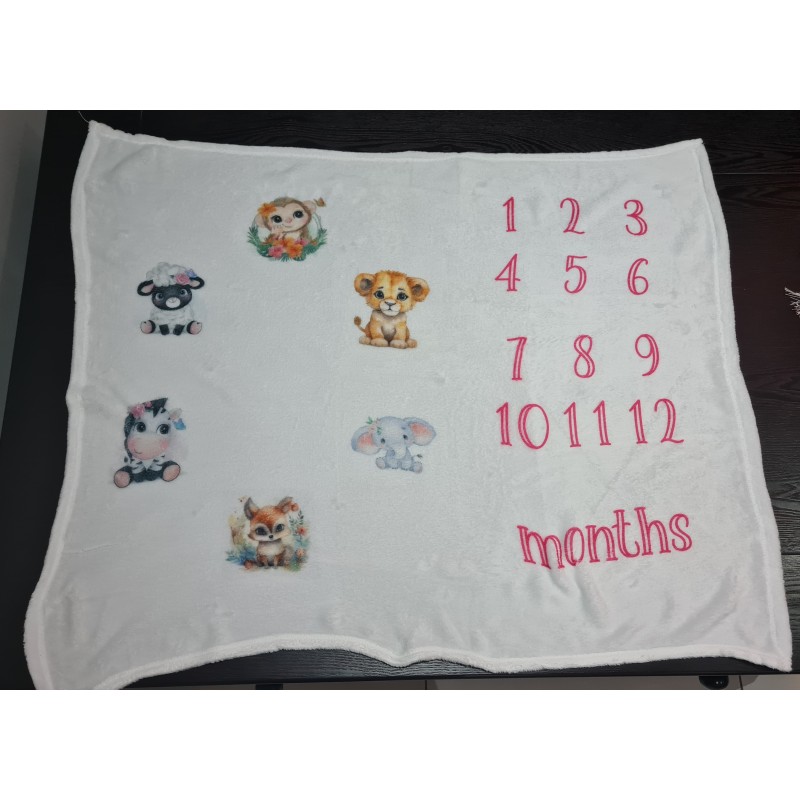 Baby Milestone Blanket