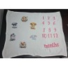 Baby Milestone Blanket